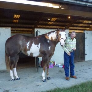 Meet your Posher, Roaldo
